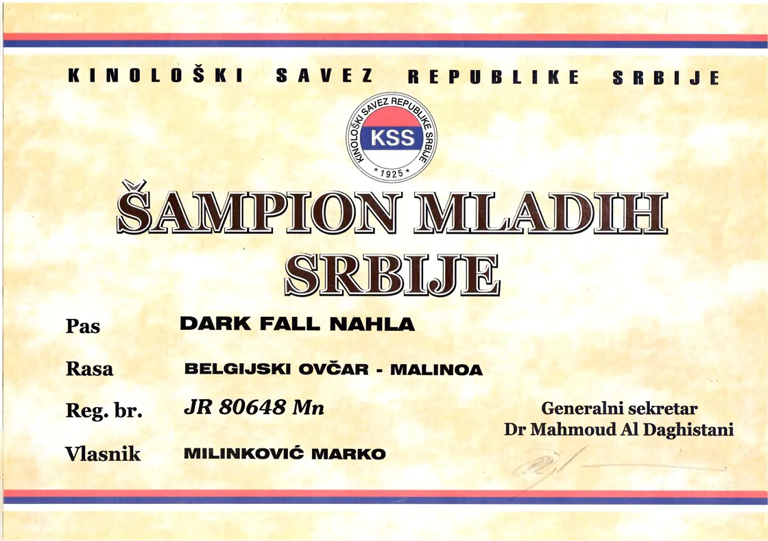 Young Champion of Serbia